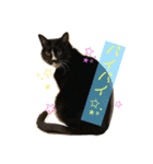 ちょびんちょびんのちょびちゃん（個別スタンプ：20）