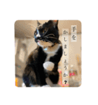 ちょびんちょびんのちょびちゃん（個別スタンプ：28）