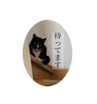 ちょびんちょびんのちょびちゃん（個別スタンプ：30）