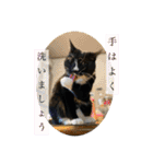 ちょびんちょびんのちょびちゃん（個別スタンプ：31）