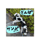 ごんざれすの日常（個別スタンプ：21）