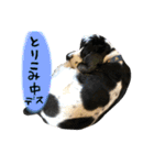 ごんざれすの日常（個別スタンプ：25）