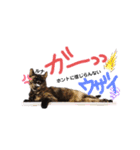 仕事用ねこさん（個別スタンプ：6）