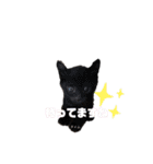 仕事用ねこさん（個別スタンプ：32）