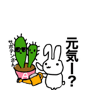うささん♥すたんぷ3（個別スタンプ：34）