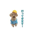 トイプードルのラヴィちゃん、レイくん（個別スタンプ：6）