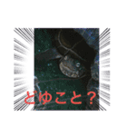 クサガメブラザーズ2（個別スタンプ：4）
