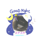 クサガメブラザーズ2（個別スタンプ：8）
