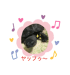 クサガメブラザーズ2（個別スタンプ：12）