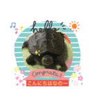クサガメブラザーズ2（個別スタンプ：15）