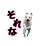 スクールの仲間たち2（個別スタンプ：13）