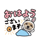 ラブリーチワプー（個別スタンプ：7）