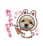 ラブリーチワプー（個別スタンプ：8）