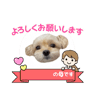 ラブリーチワプー（個別スタンプ：15）