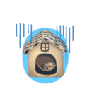 ラブリーチワプー（個別スタンプ：23）