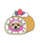 ラブリーチワプー（個別スタンプ：37）