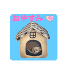 ラブリーチワプー（個別スタンプ：38）