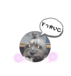 GKの日常（個別スタンプ：2）