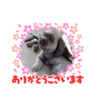 GKの日常（個別スタンプ：3）