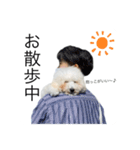 もふもふわんこ。#トイプードル（個別スタンプ：19）