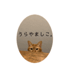 トラネコ春とキジトラ桜の気持ち①（個別スタンプ：26）