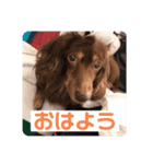 三男と長女（個別スタンプ：2）