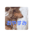 三男と長女（個別スタンプ：5）