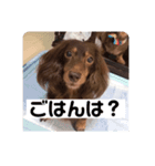 三男と長女（個別スタンプ：8）