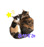 がおてらの日常（個別スタンプ：4）