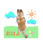 海、空（個別スタンプ：2）