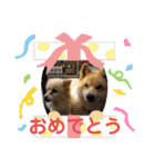 海、空（個別スタンプ：4）