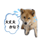海、空（個別スタンプ：12）