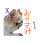 海、空（個別スタンプ：14）