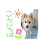 海、空（個別スタンプ：15）