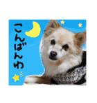 海、空（個別スタンプ：17）