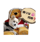 海、空（個別スタンプ：19）