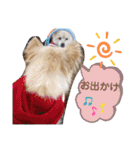 海、空（個別スタンプ：21）