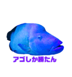 アゴ古代魚を愛でるスタンプ（個別スタンプ：6）