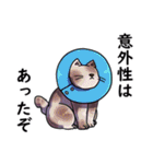 尊大な猫のスタンプ（個別スタンプ：30）