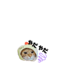 ごろごろゴロリ（個別スタンプ：7）
