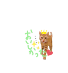 ごろごろゴロリ（個別スタンプ：12）