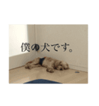 これで君も陽キャだ！シュールスタンプ（個別スタンプ：28）
