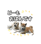 スクールの仲間たち3（個別スタンプ：1）