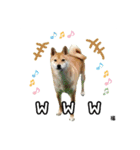 スクールの仲間たち3（個別スタンプ：9）