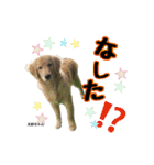 スクールの仲間たち3（個別スタンプ：12）