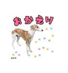 スクールの仲間たち3（個別スタンプ：13）