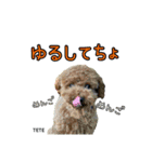 スクールの仲間たち3（個別スタンプ：14）