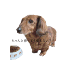 ranわーるど（個別スタンプ：3）
