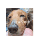 ranわーるど（個別スタンプ：4）