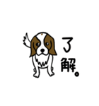 キャバリア犬の楽しい日常（個別スタンプ：1）